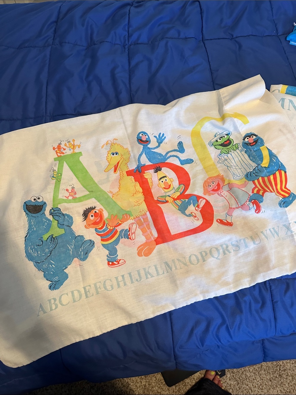 Vintage Sesame Street pillow case and flat twin size sheet